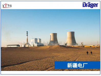 新疆電廠與上海京工簽訂德?tīng)柛癞a(chǎn)品服務(wù)
